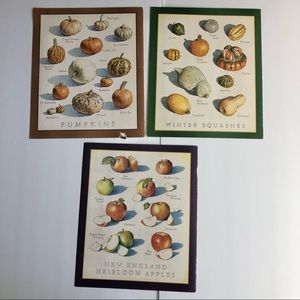 Pumpkins Heirloom Apples Winter Squash Cook’s Illustrated Kitchen Wall Art Print